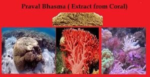 uses of praval bhasma